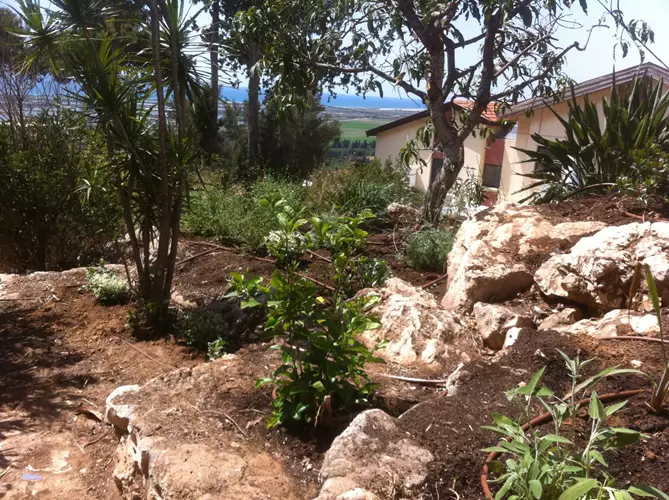 הקמה ותחזוקת גינה